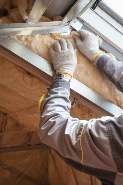 Types of Insulation We Offer in Lonaconing, MD