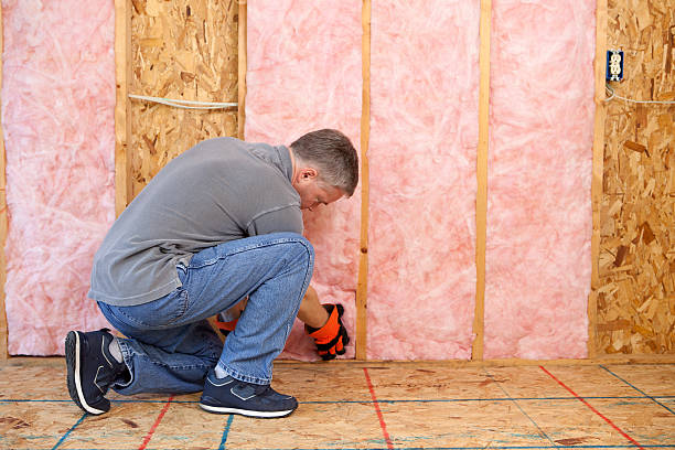 Best Cellulose Insulation in Lonaconing, MD